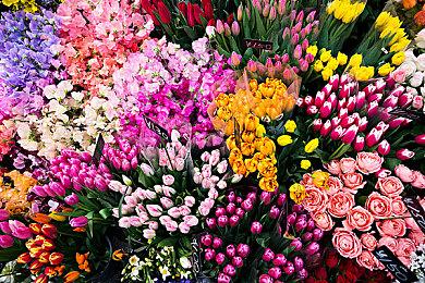 Skillz与 UFC签署多年合作协议 将于2023年推出品牌格斗手游